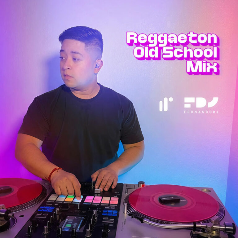 Reggaeton Old School Mix Live